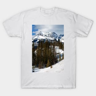 Canadian Rocky Mountains Icefields Parkway Canada T-Shirt